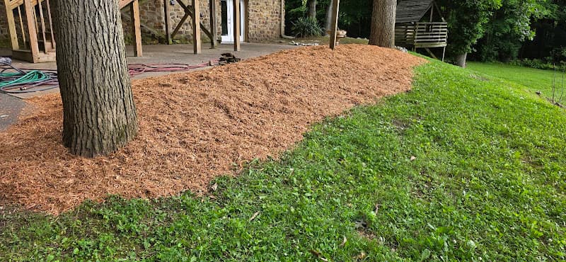 Bully Equipment Rental and Land Management