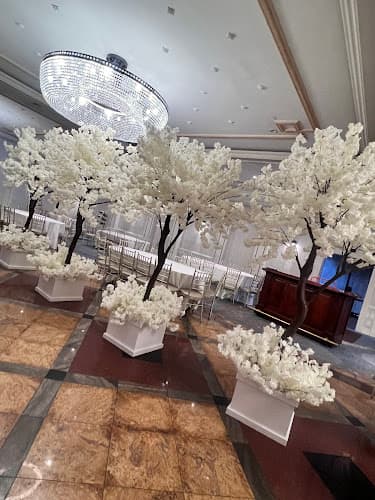 Exceptional Party Rental