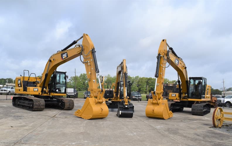 Louisiana Cat - Winnfield